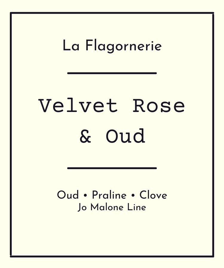 Velvet Rose and Oud Fragrance Oil | Inspired Scent