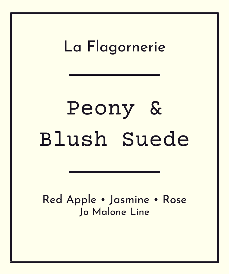 Peony and Blush Suede Fragrance Oil | Inspired Scent