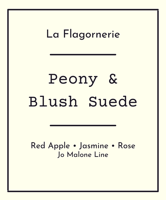 Peony and Blush Suede Fragrance Oil | Inspired Scent