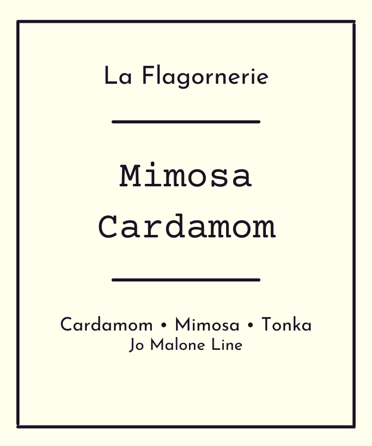 Mimosa Cardamom Fragrance Oil | Inspired Scent