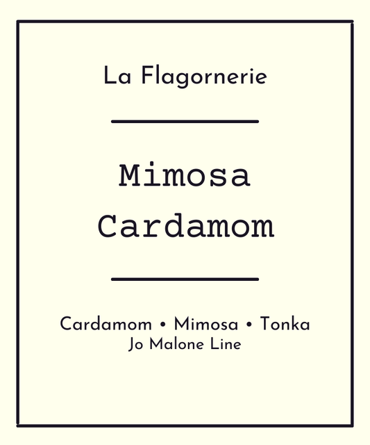 Mimosa Cardamom Fragrance Oil | Inspired Scent
