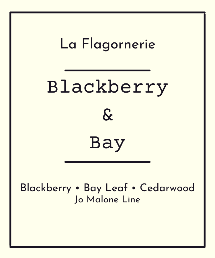 Blackberry and Bay Fragrance Oil | Inspired Scent