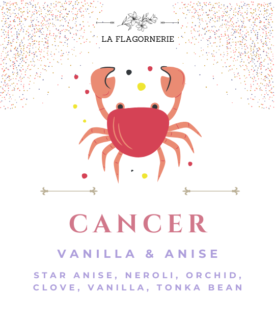 Cancer: Vanilla & Anise Fragrance Oil