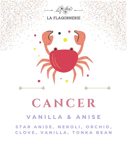 Cancer: Vanilla & Anise Fragrance Oil
