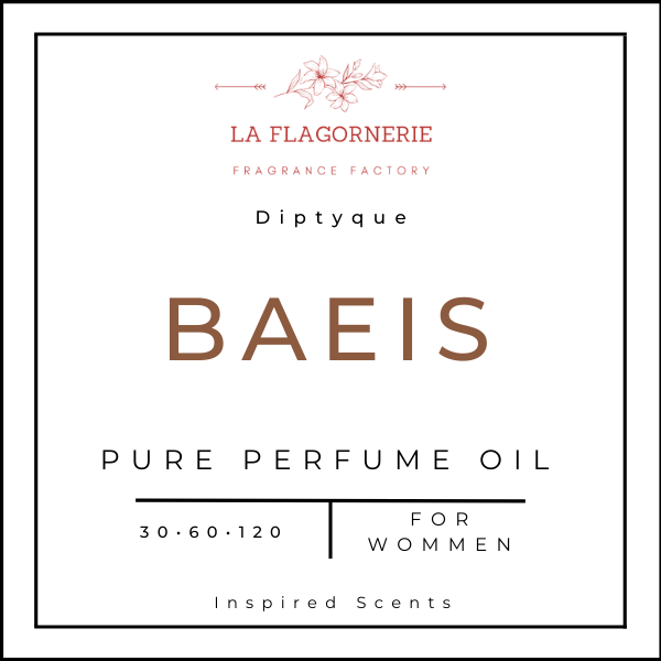 Baies Fragrance Oil | Inspired Scent