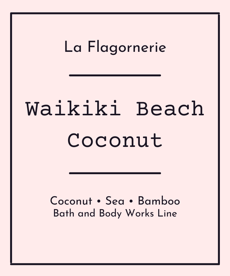 Waikiki Beach Coconut Fragrance Oil | Inspired Scent