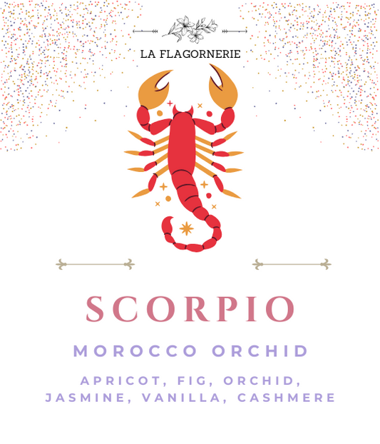 Scorpio: Morocco Orchid Fragrance Oil