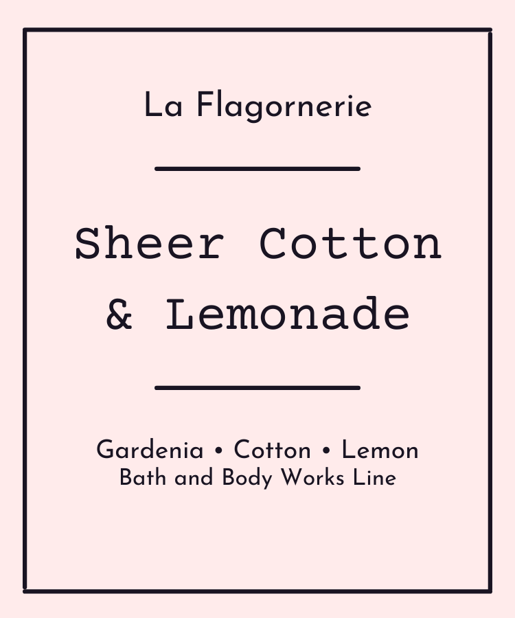 Sheer Cotton and Lemonade Fragrance Oil | Inspired Scent