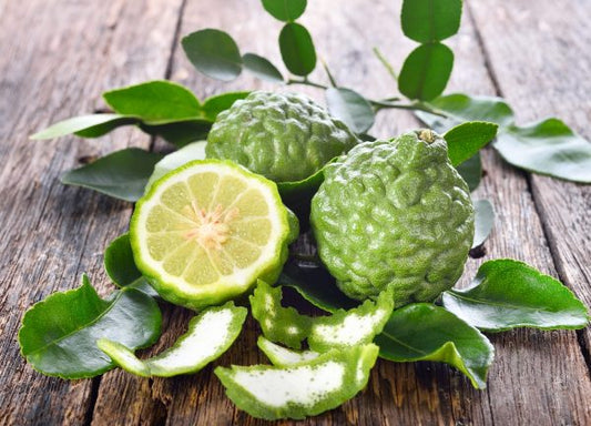 Bergamot Fragrance Oil