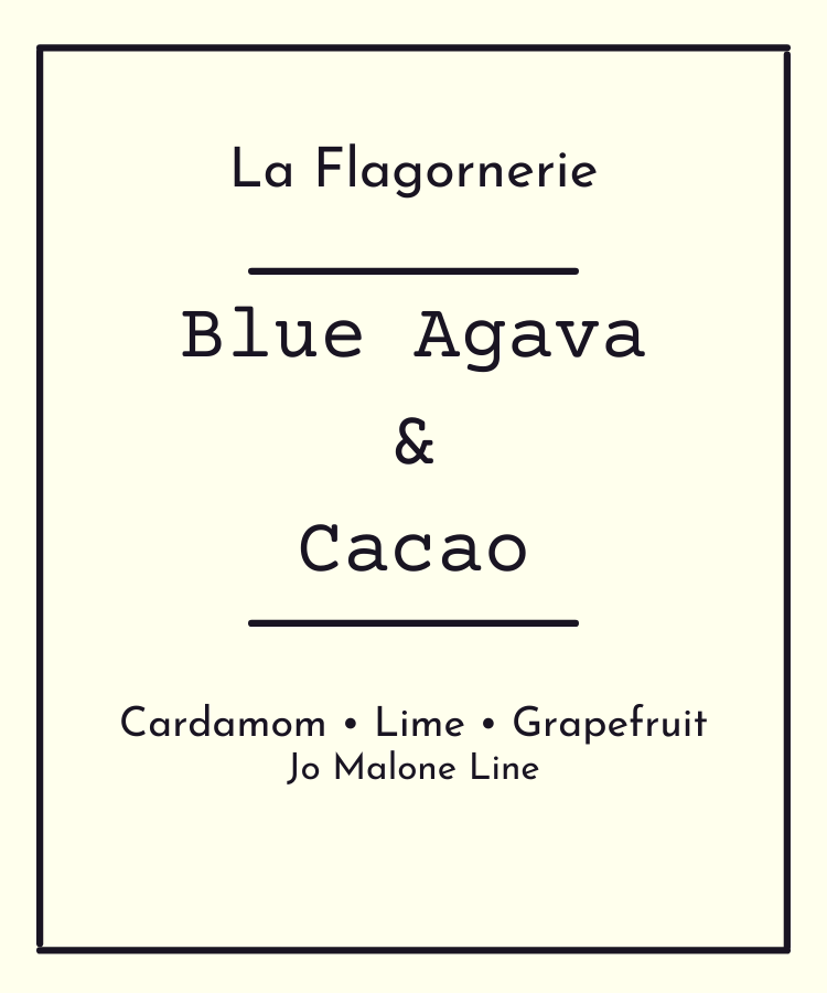 Blue Agava and Cacao Fragrance Oil | Inspired Scent