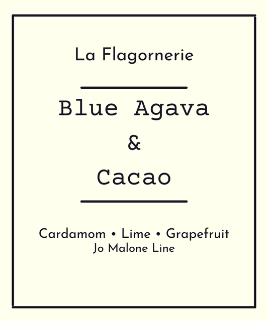 Blue Agava and Cacao Fragrance Oil | Inspired Scent