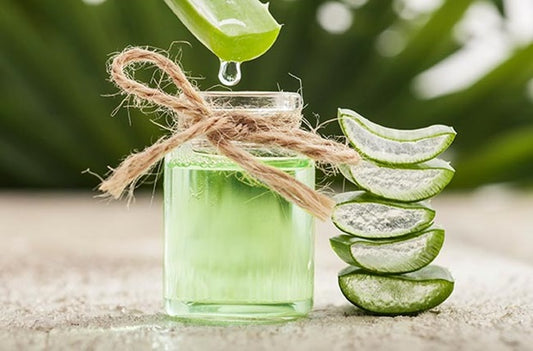 Aloe Vera Extract