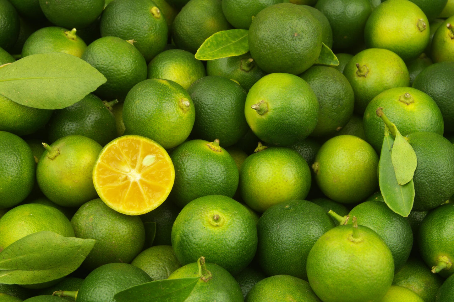 Calamansi Fragrance Oil