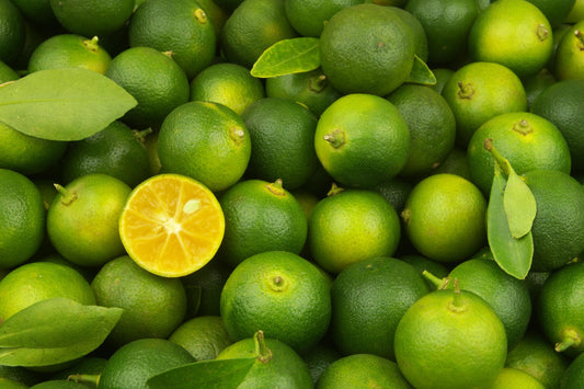 Calamansi Fragrance Oil