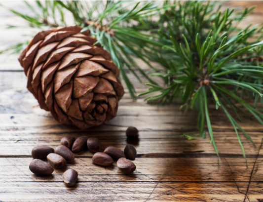 Cedarwood Fragrance Oil