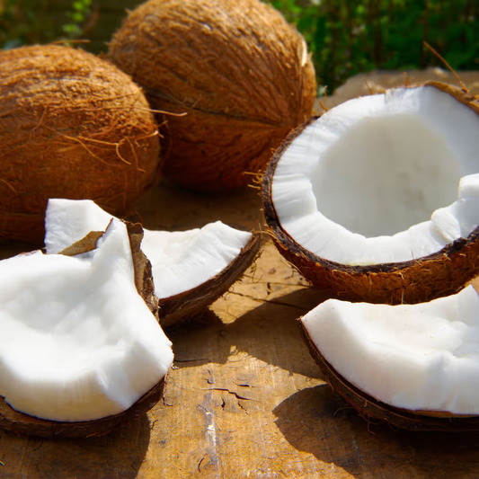Coconut Fragrance Oil