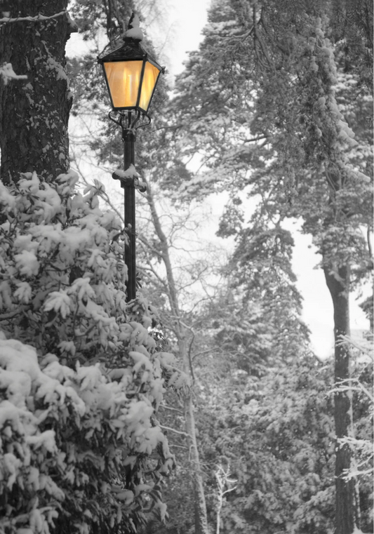 Narnia Fragrance Oil Blend (Peppermint, Pine, Jasmine)