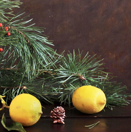 Pine Fresh Fragrance Oil Blend (Pine, Lemon)
