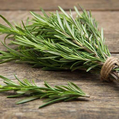 Rosemary Fragrance Oil