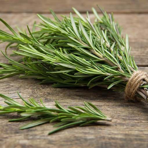 Rosemary Fragrance Oil