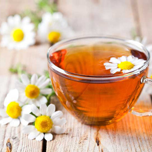 Chamomile Fragrance Oil