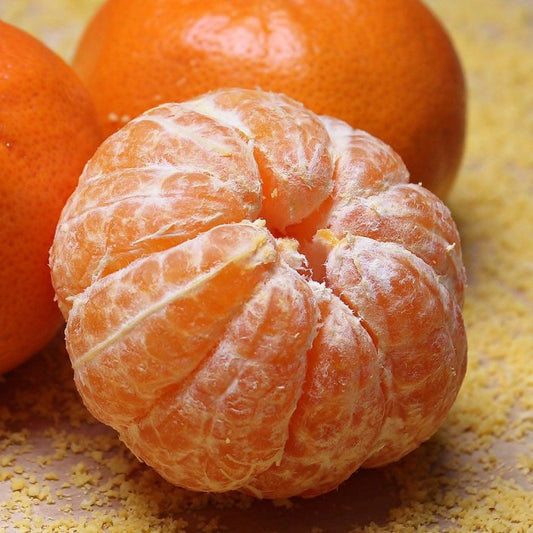 Tangerine Fragrance Oil
